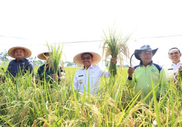Kota Tangerang Capai Kemajuan di Bidang Ekonomi dan Ketahanan Pangan