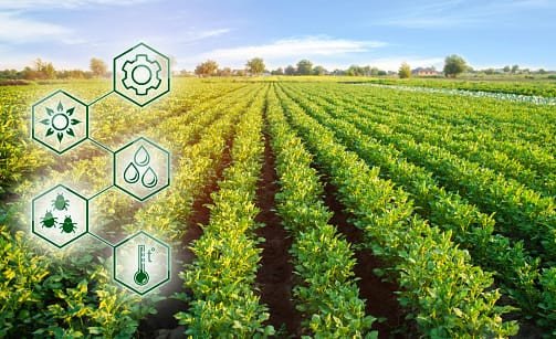 Agroindustri Berkelanjutan: Menjawab Tantangan Iklim dan Pangan di Era Modern